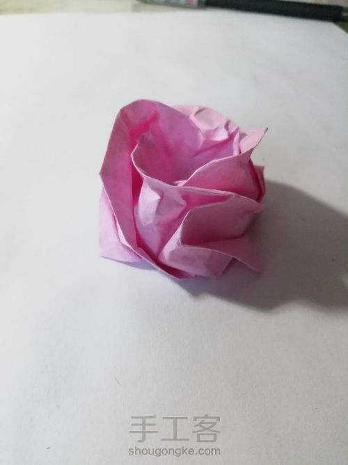 粉色玫瑰 第33步