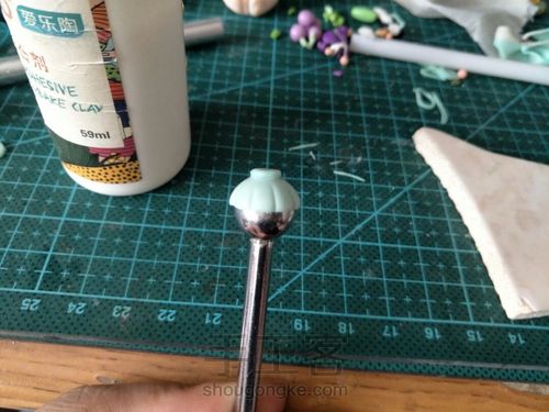 来一杯菊花酒吧~(其实更像菊花茶) 第6步