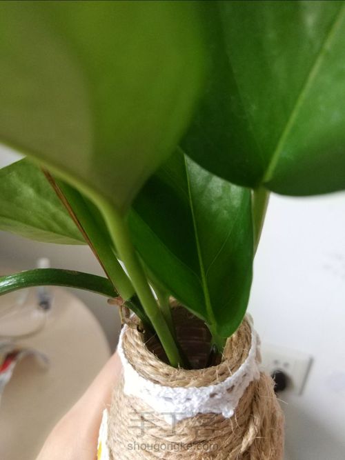 利用空瓶子做小清新花盆～ 第10步