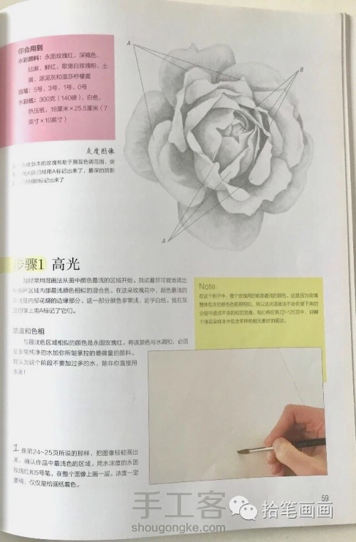【水彩】玫瑰花绘制教程 第1步
