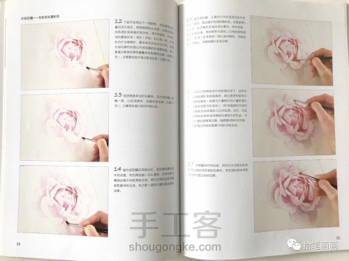【水彩】玫瑰花绘制教程 第4步