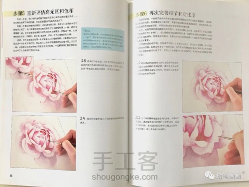 【水彩】玫瑰花绘制教程 第5步