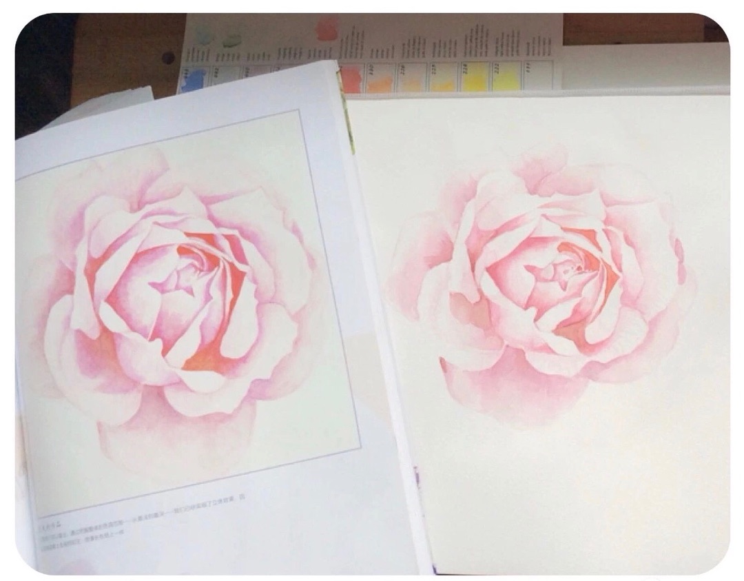 水彩玫瑰绘画过程
