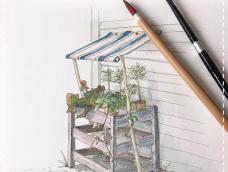 钢笔淡彩手绘植物小风景～