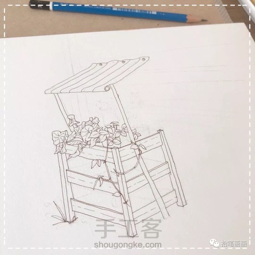 【钢笔淡彩】植物小景 第4步