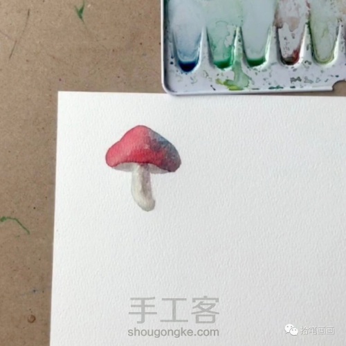 【水彩】手绘菌菇1 第7步