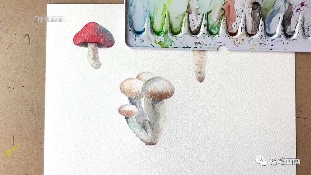 手绘水彩菌菇