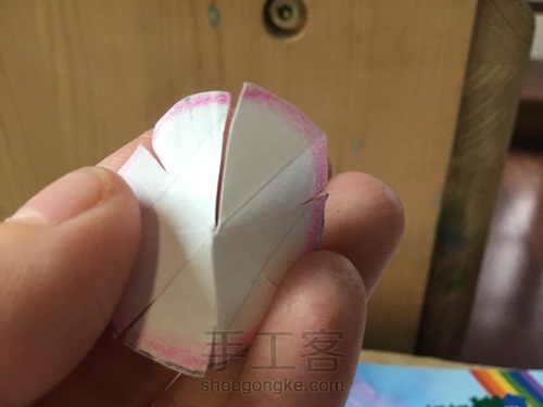 美腻的多肉白牡丹〖原创〗 第9步