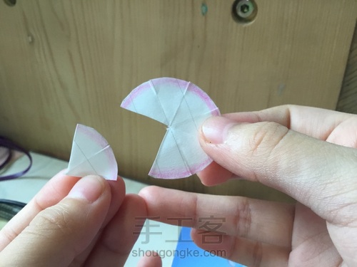 美腻的多肉白牡丹〖原创〗 第11步