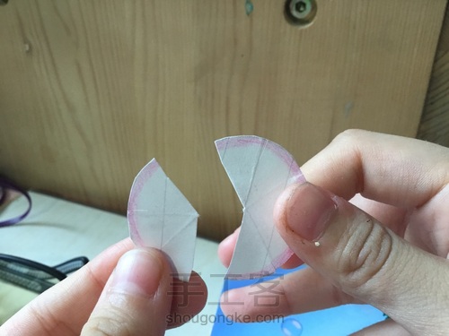 美腻的多肉白牡丹〖原创〗 第12步