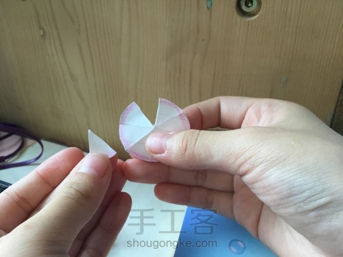 美腻的多肉白牡丹〖原创〗 第10步