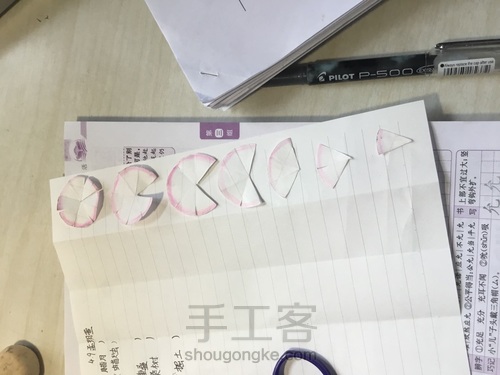 美腻的多肉白牡丹〖原创〗 第13步