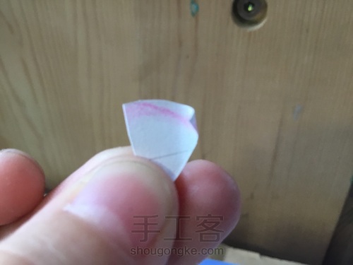 美腻的多肉白牡丹〖原创〗 第14步