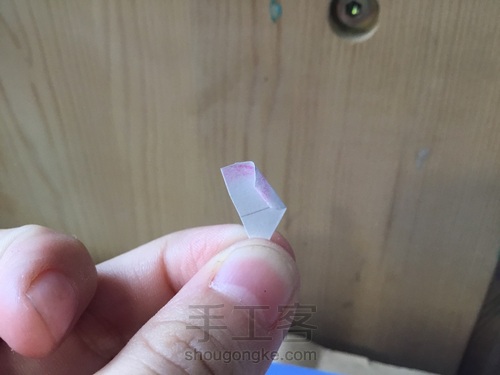 美腻的多肉白牡丹〖原创〗 第15步