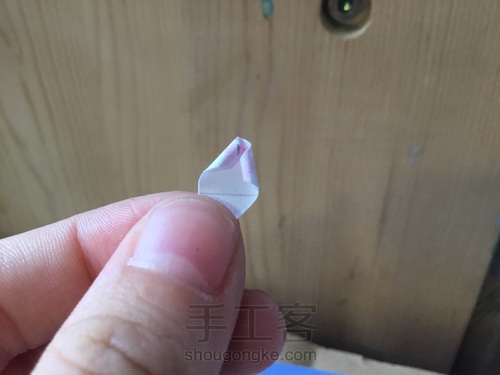 美腻的多肉白牡丹〖原创〗 第16步