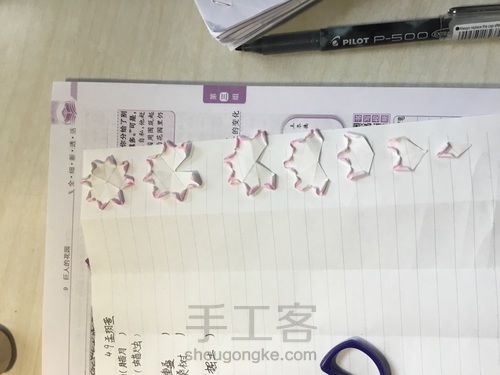 美腻的多肉白牡丹〖原创〗 第17步