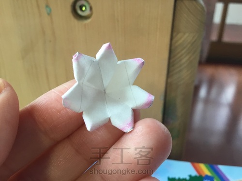 美腻的多肉白牡丹〖原创〗 第18步
