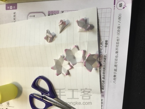 美腻的多肉白牡丹〖原创〗 第20步