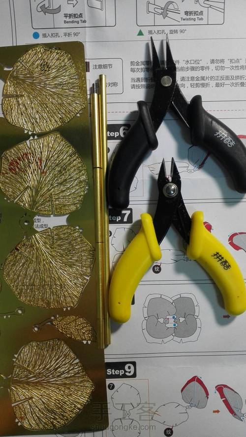 拼酷•香槟金玫瑰•模型 第1步