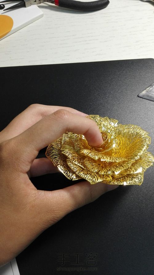 拼酷•香槟金玫瑰•模型 第13步