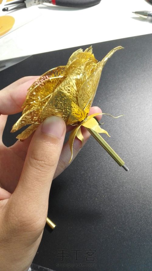 拼酷•香槟金玫瑰•模型 第19步