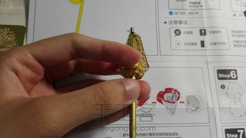 拼酷•香槟金玫瑰•模型 第2步