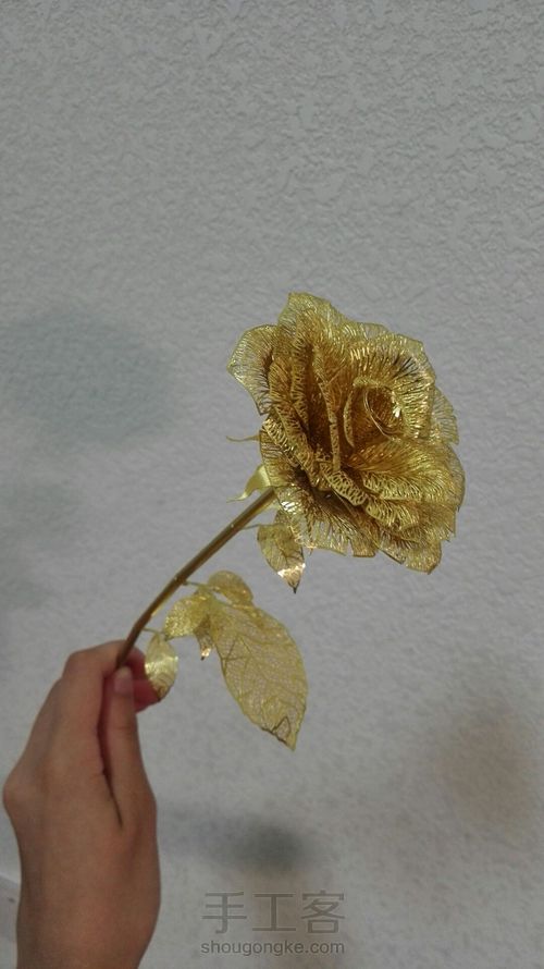 拼酷•香槟金玫瑰•模型 第23步