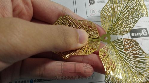 拼酷•香槟金玫瑰•模型 第5步