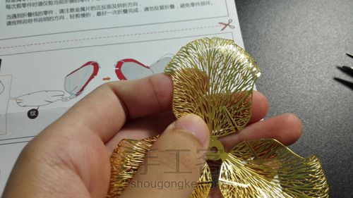 拼酷•香槟金玫瑰•模型 第7步