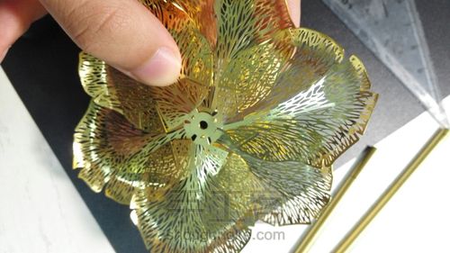 拼酷•香槟金玫瑰•模型 第9步