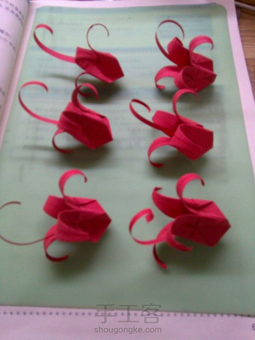 花开彼岸，黄泉路边唤醒前世记忆——曼珠沙华 第11步