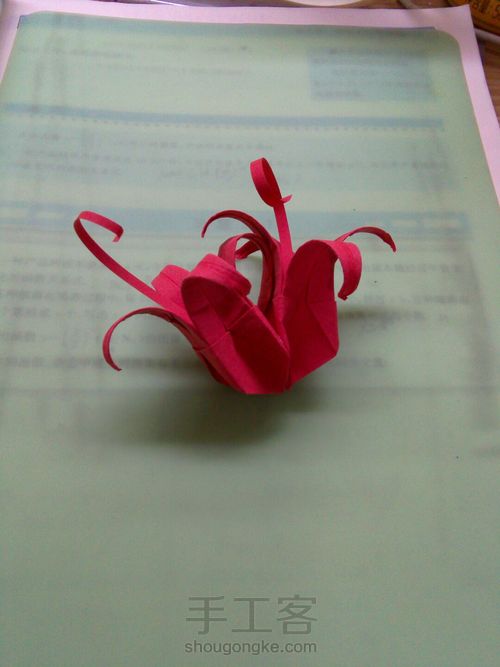 花开彼岸，黄泉路边唤醒前世记忆——曼珠沙华 第12步