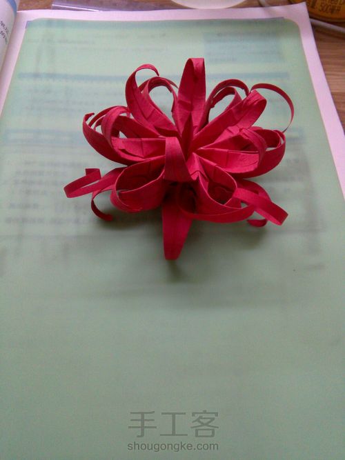 花开彼岸，黄泉路边唤醒前世记忆——曼珠沙华 第13步