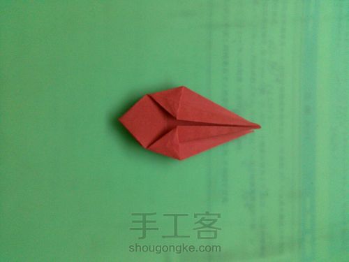 花开彼岸，黄泉路边唤醒前世记忆——曼珠沙华 第7步