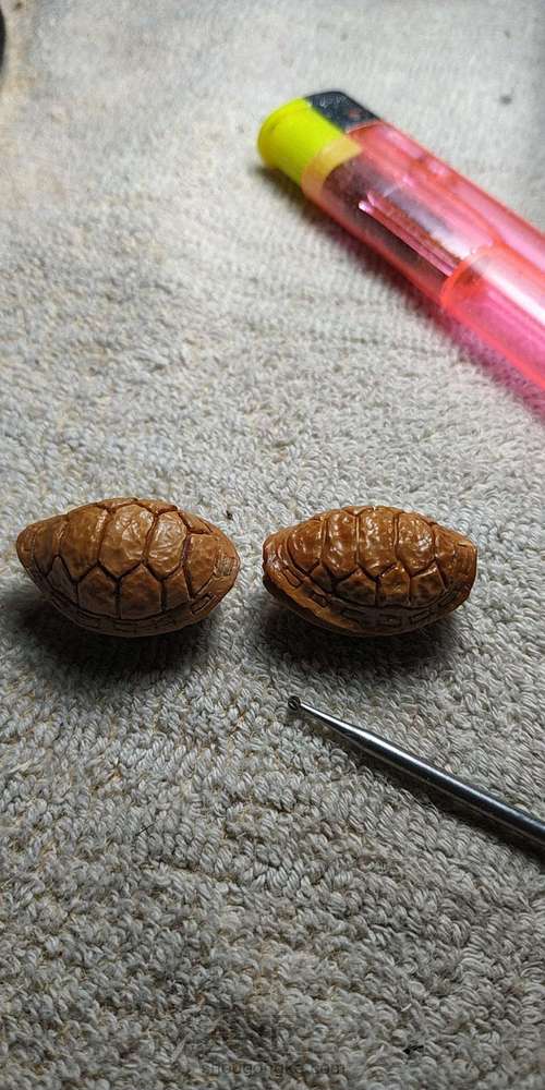 新人核雕制作富甲天下 第7步