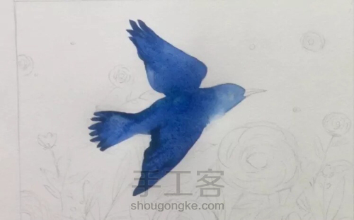 水彩教程:花鸟集系列2《蓝色梦幻》 第4步