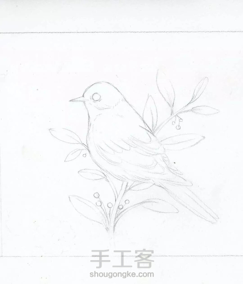 水彩教程:花鸟集系列4《啼春》 第1步