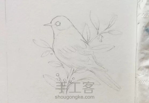 水彩教程:花鸟集系列4《啼春》 第3步