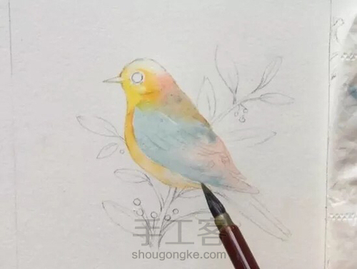 水彩教程：花鸟集系列4《啼春》 第4步