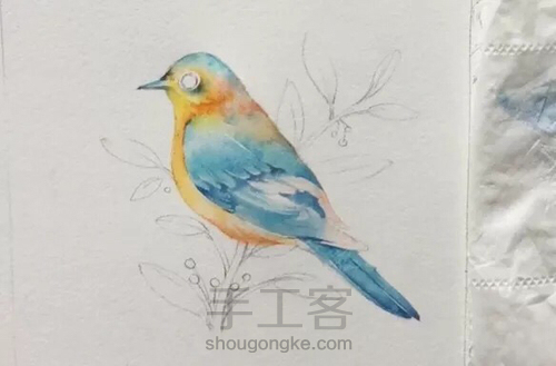 水彩教程:花鸟集系列4《啼春》 第5步