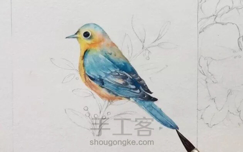 水彩教程:花鸟集系列4《啼春》 第6步