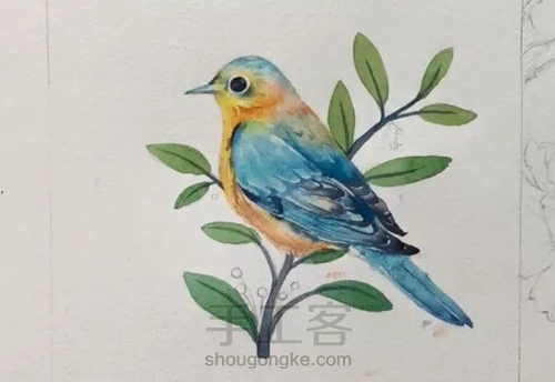 水彩教程:花鸟集系列4《啼春》 第8步