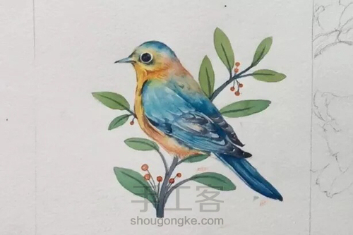 水彩教程:花鸟集系列4《啼春》 第9步