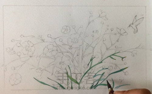 水彩教程：花鸟集系列5《翩迁》 第4步