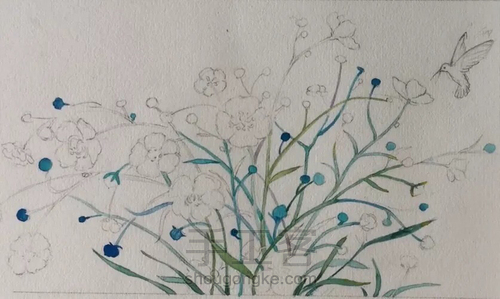 水彩教程：花鸟集系列5《翩迁》 第5步