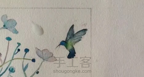 水彩教程：花鸟集系列5《翩迁》 第9步