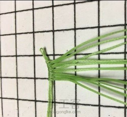 六瓣花托 第2步