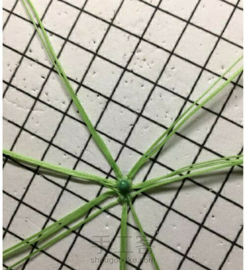 六瓣花托 第6步