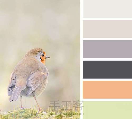 各处搬运的配色图 第77步
