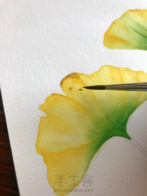 秋风瑟瑟-银杏水彩画法 第13步